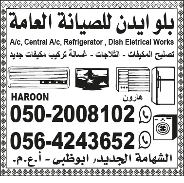 Blue Edan General maintenance and Service Provider