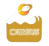 OCEAN WAVES SECURITY SYSTEMS