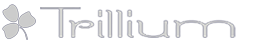 Trillium Engineering Consultants